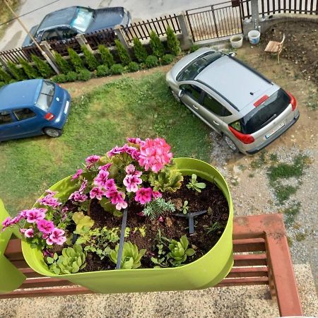 Apartmants Djekovi Ohrid Luaran gambar